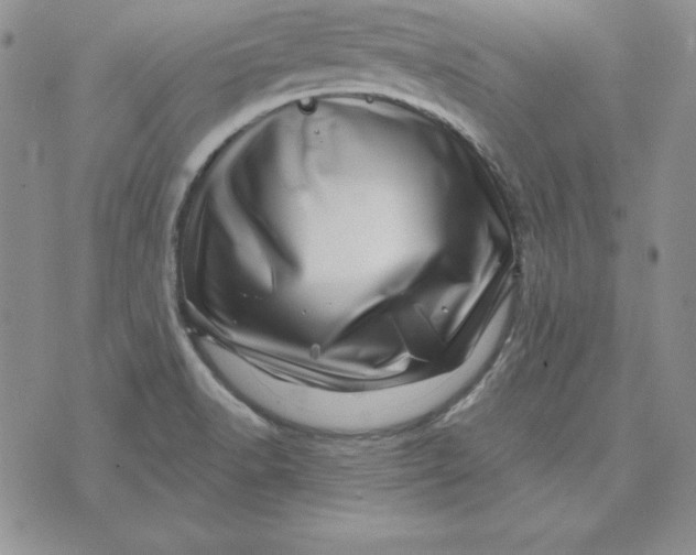 X0000074041518200609111726