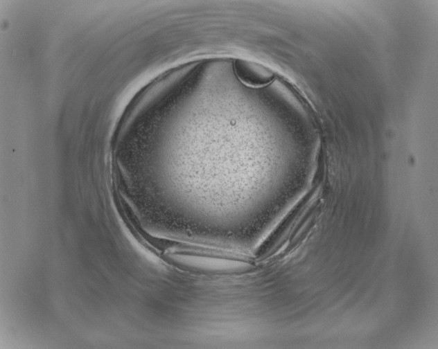 X0000074041519200609111726