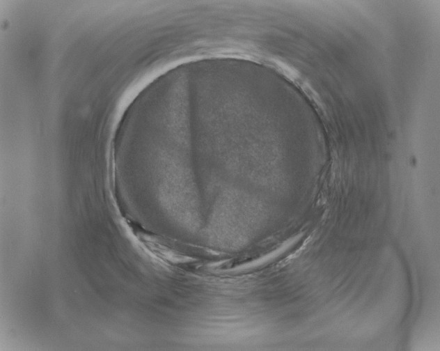 X0000074041520200609111726