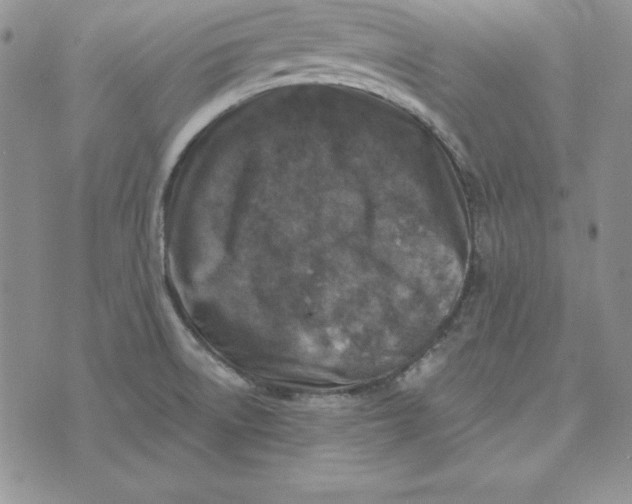 X0000074041522200609111726