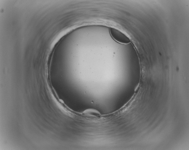 X0000074041523200609111726