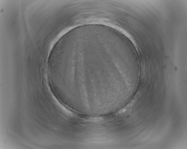 X0000074041525200609111726