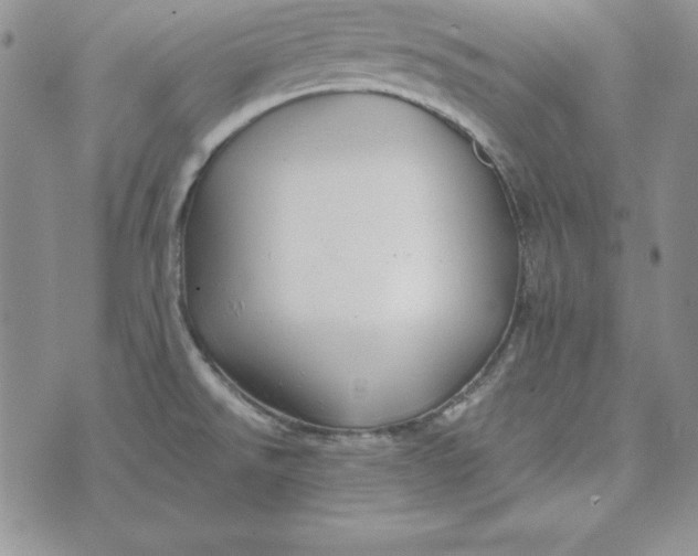 X0000074041526200609111726