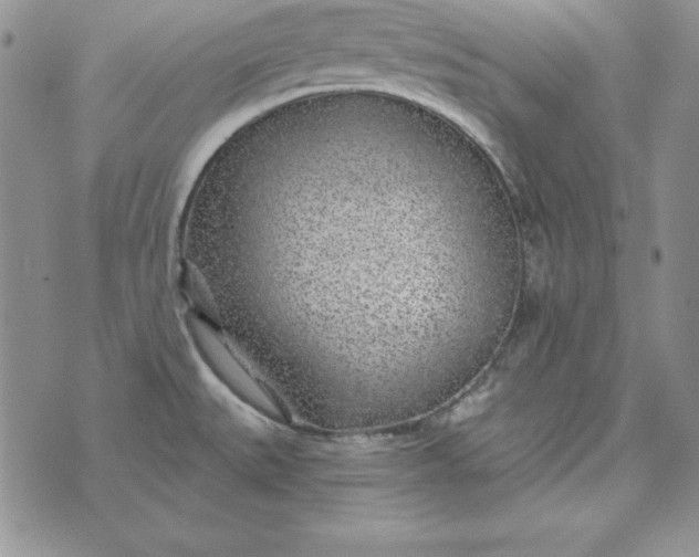 X0000074041527200609111726