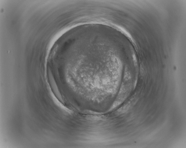 X0000074041528200609111726