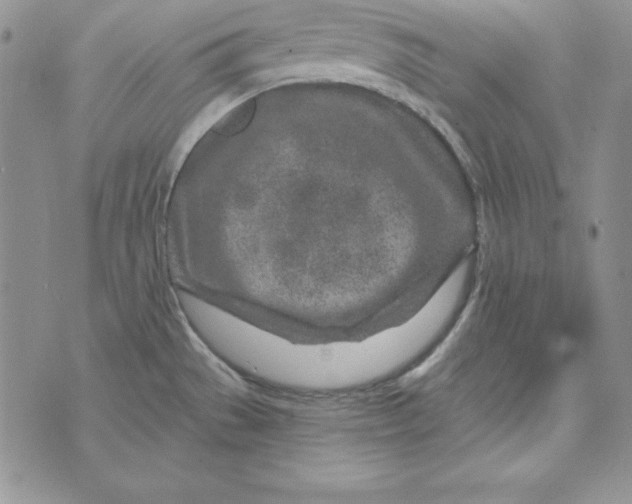 X0000074041529200609111726