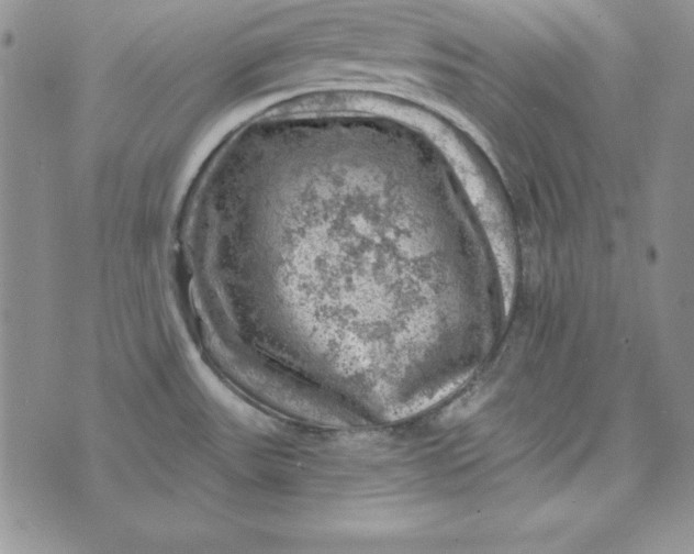 X0000074041531200609111726