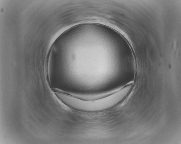 X0000074041533200609111726