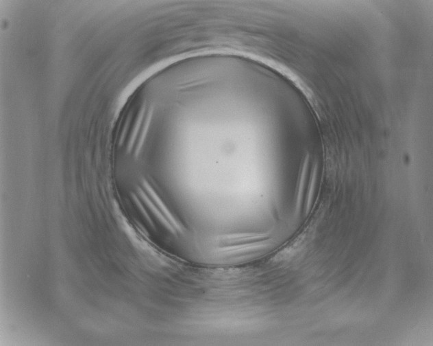 X0000074041534200609111726