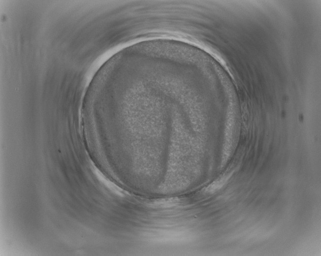 X0000074041535200609111726