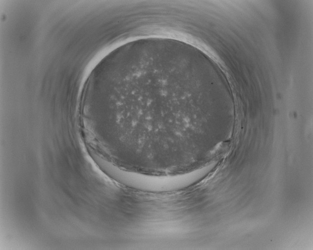 X0000074041536200609111726