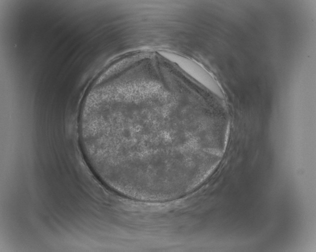 X0000074040002200609182004