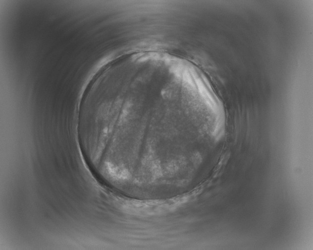 X0000074040003200609182004