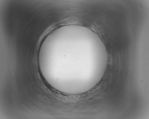 X0000074040004200609182004