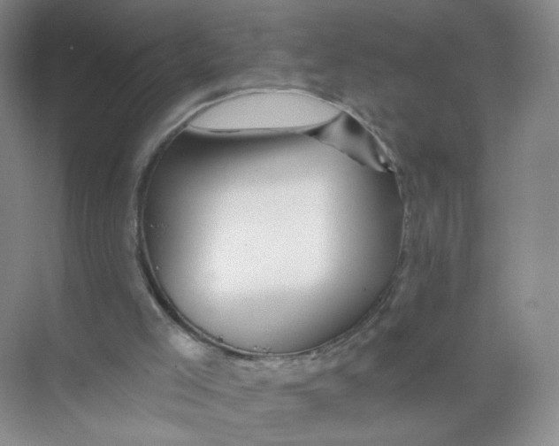 X0000074040005200609182004