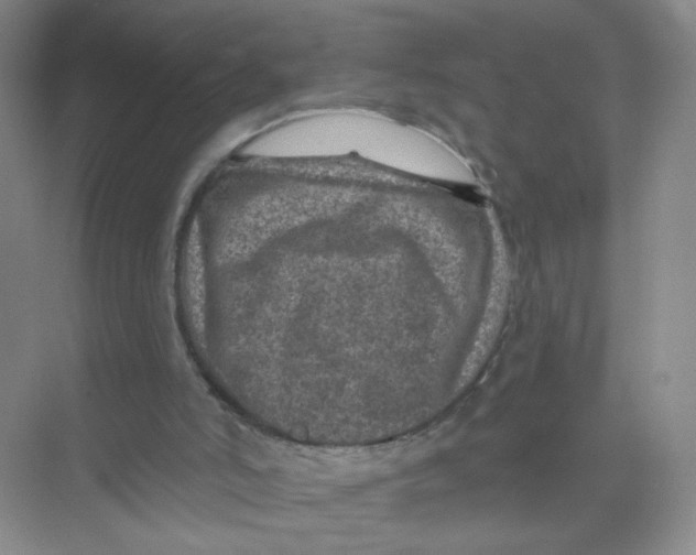 X0000074040006200609182004