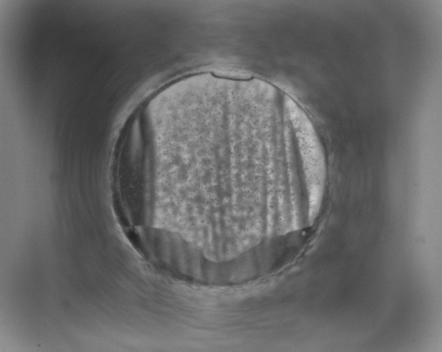 X0000074040007200609182004