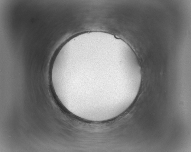 X0000074040008200609182004