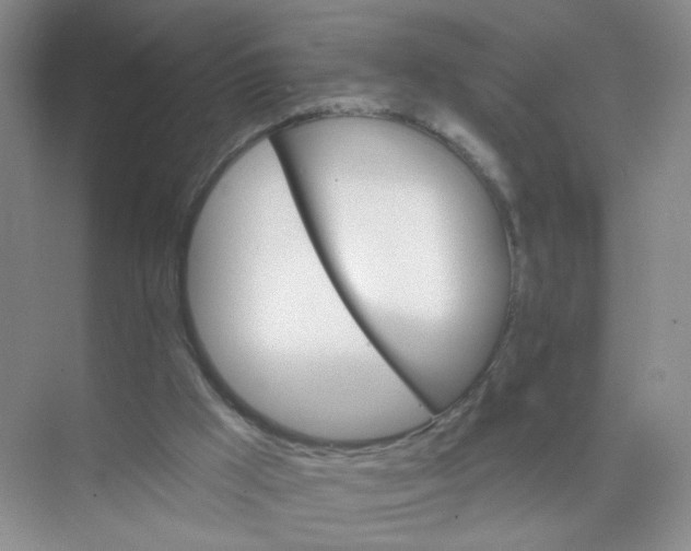 X0000074040009200609182004