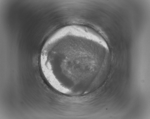 X0000074040010200609182004