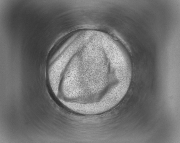 X0000074040011200609182004