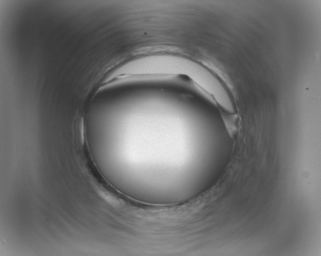 X0000074040013200609182004