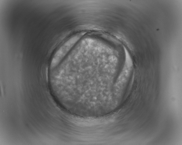 X0000074040014200609182004