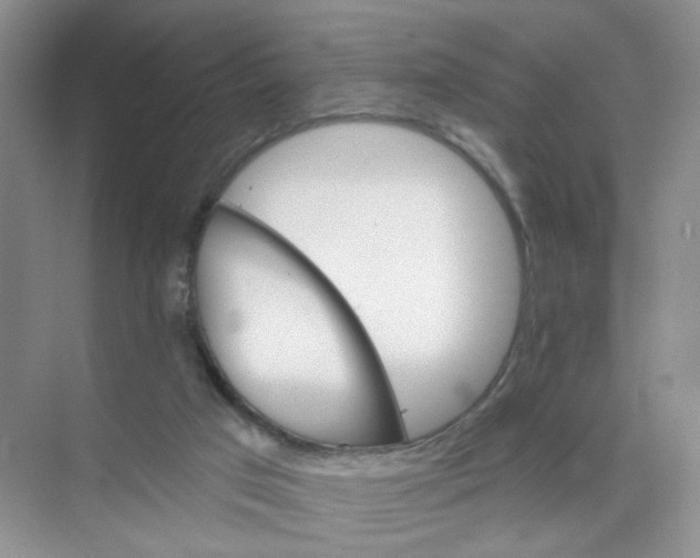 X0000074040017200609182004