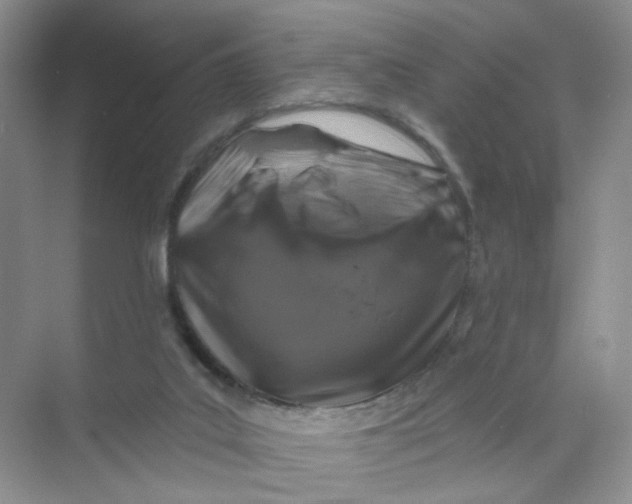 X0000074040019200609182004