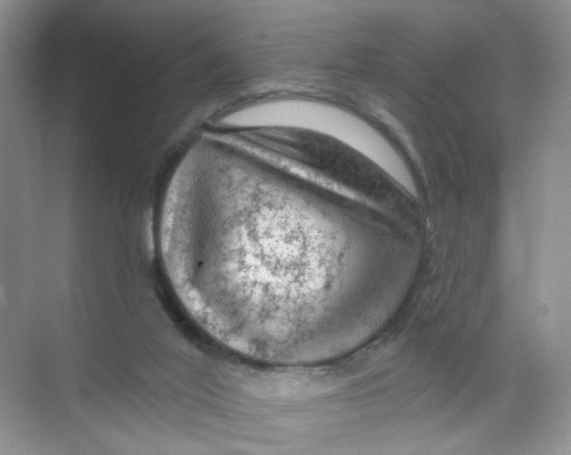 X0000074040020200609182004