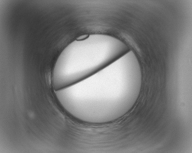 X0000074040021200609182004