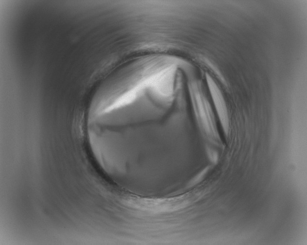 X0000074040023200609182004