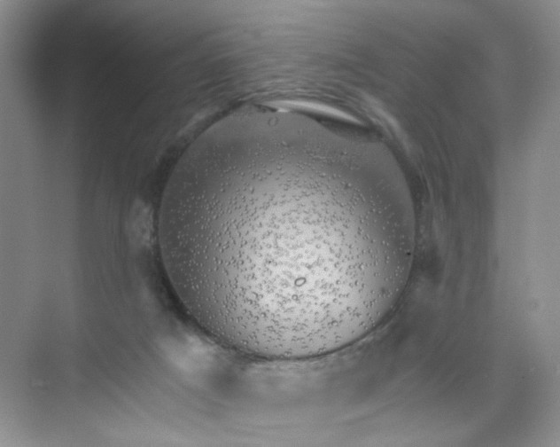 X0000074040025200609182004