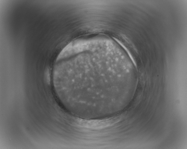 X0000074040026200609182004