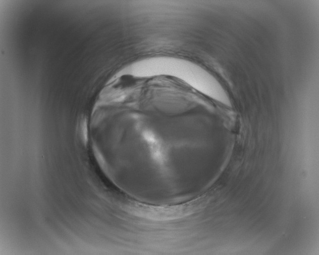 X0000074040027200609182004