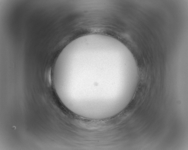 X0000074040028200609182004