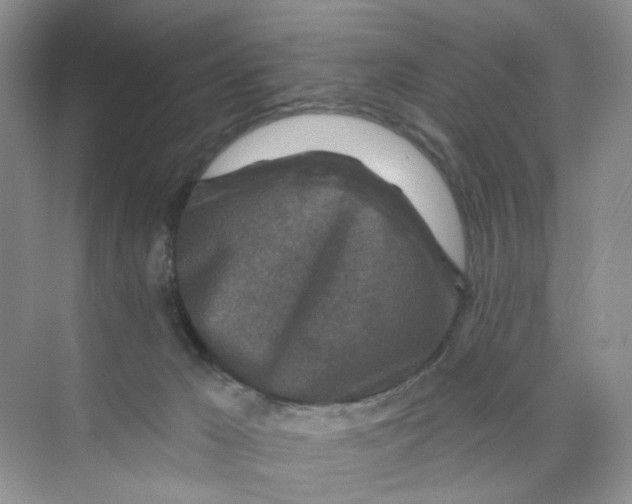 X0000074040029200609182004