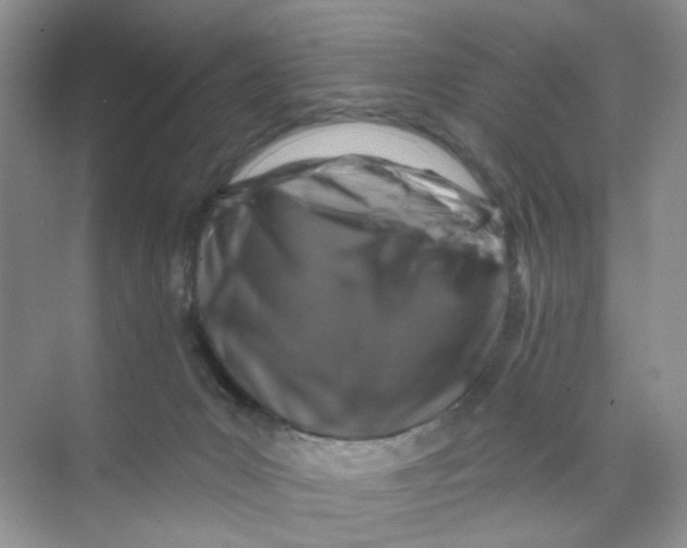 X0000074040031200609182004