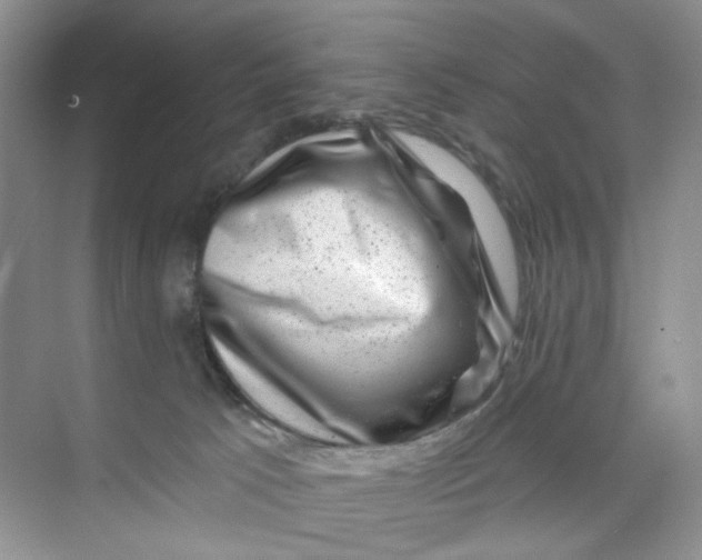 X0000074040033200609182004