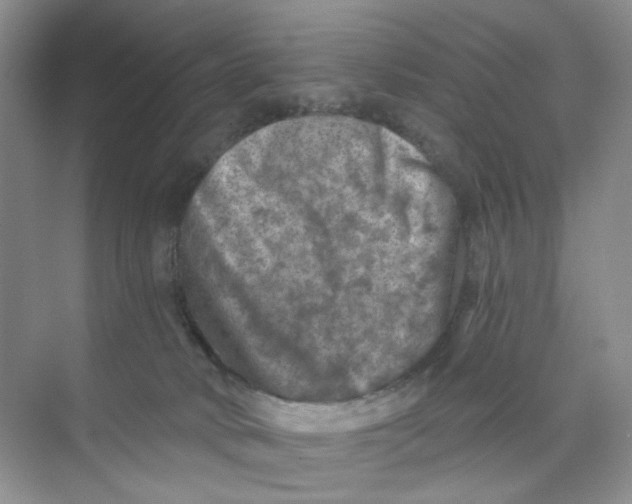 X0000074040034200609182004