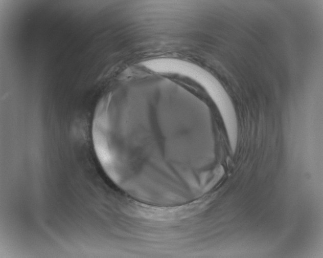 X0000074040035200609182004