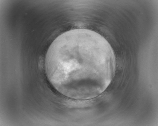 X0000074040036200609182004