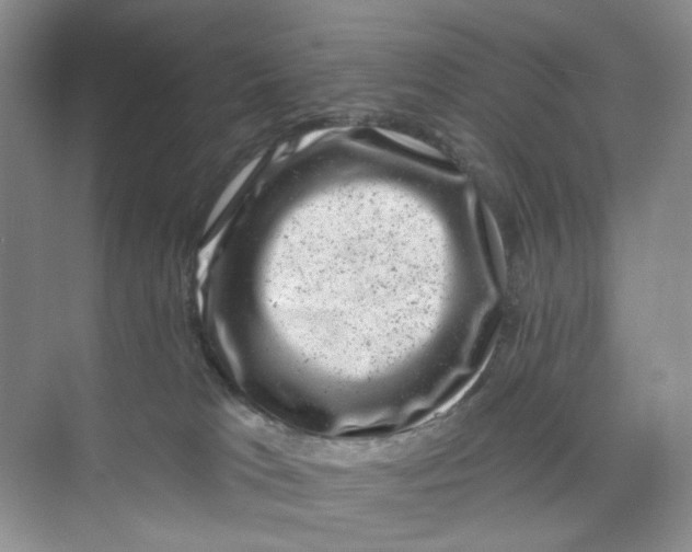 X0000074040037200609182004