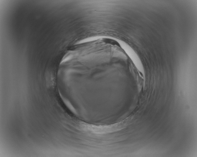 X0000074040039200609182004