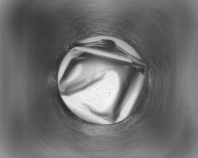 X0000074040040200609182004