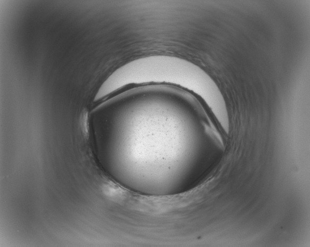 X0000074040041200609182004