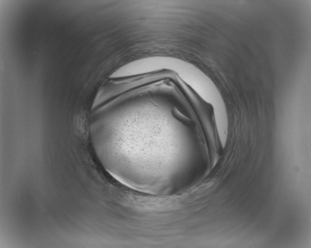 X0000074040044200609182004