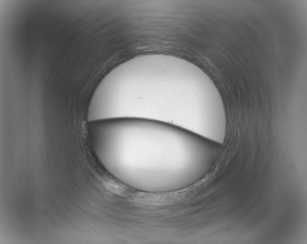 X0000074040045200609182004