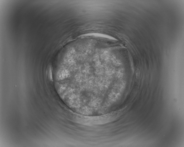 X0000074040046200609182004