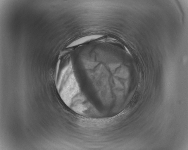 X0000074040048200609182004